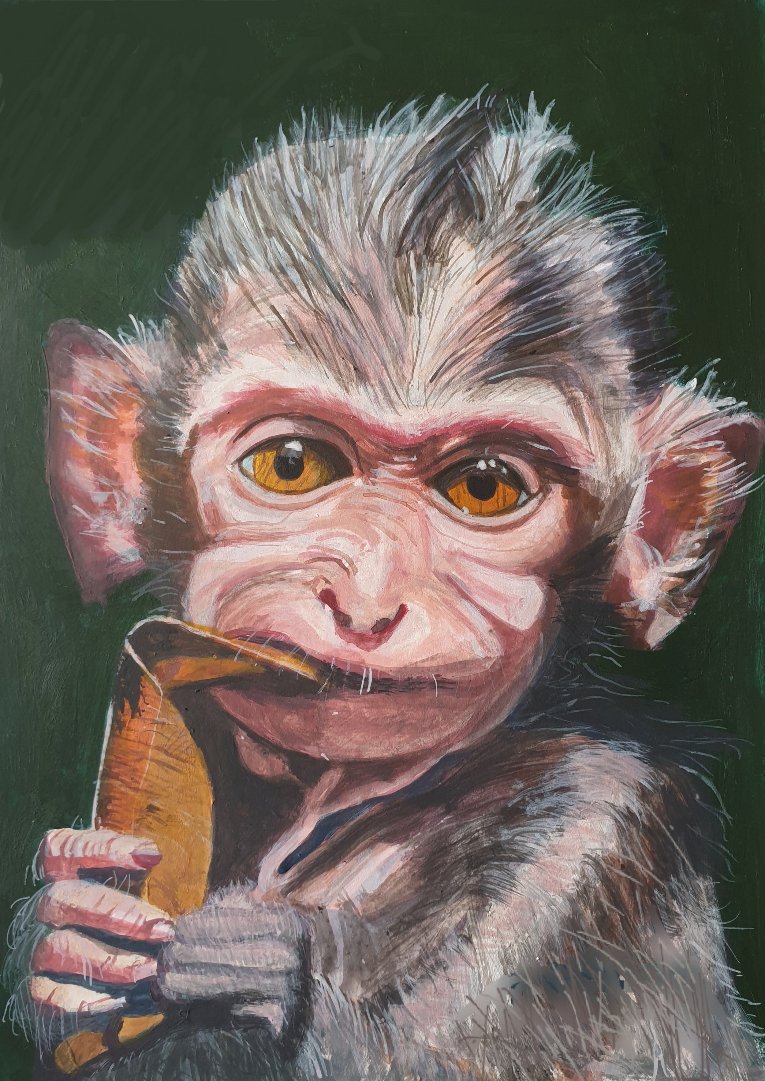 'Comfort Leaf - Infant Long-Tailed Macaque', 
8 x 6 inch, acrylic on paper.
