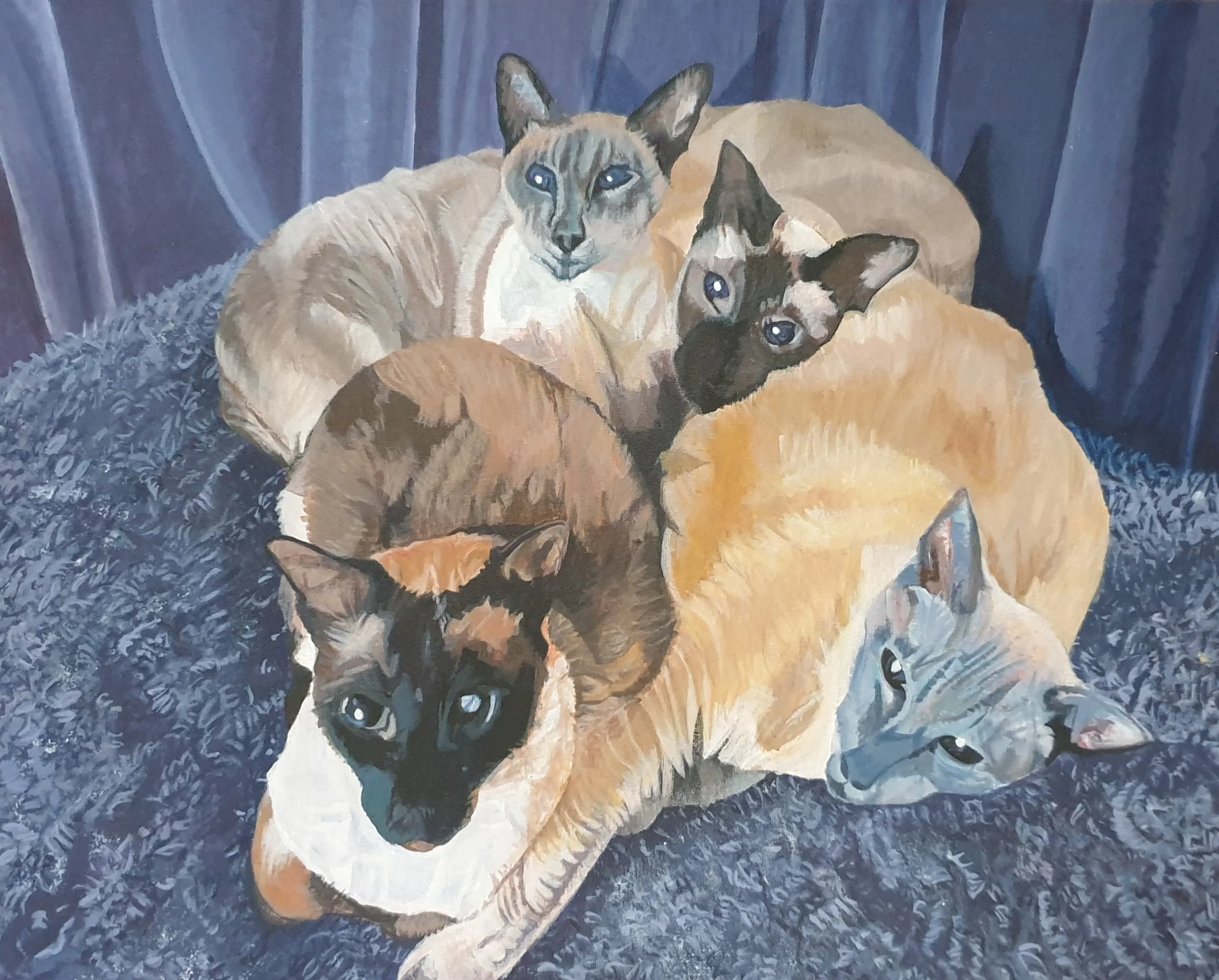 'Pile of Siameses', 
acrylic on canvas panel.