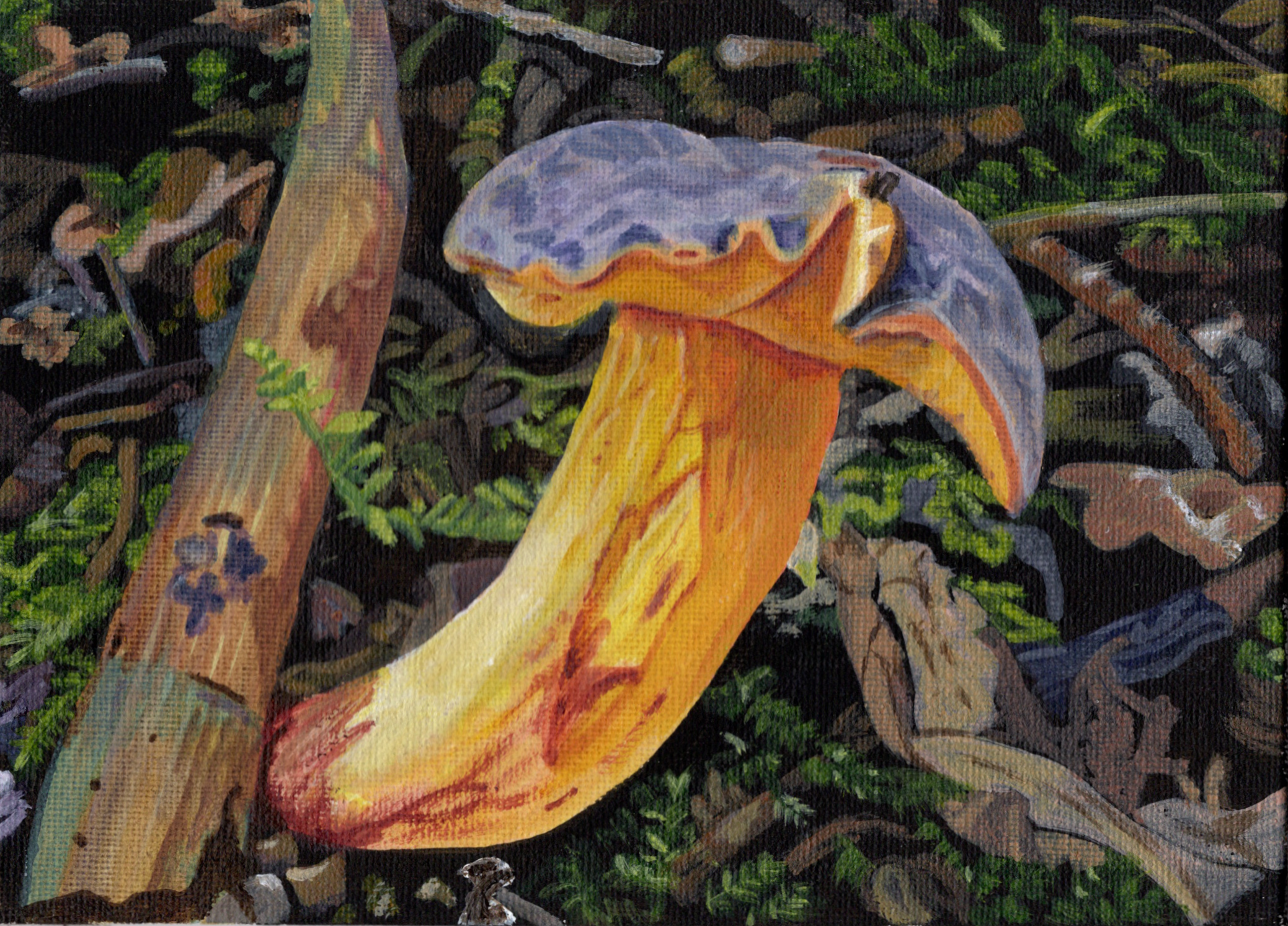 'Bay Bolete', 
5 x 7 inch, acrylic on canvas panel.