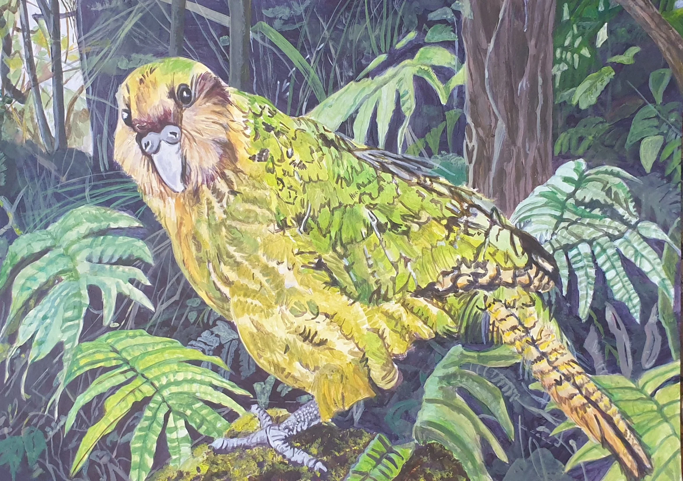 'Kakapo', 
acrylic on paper.
