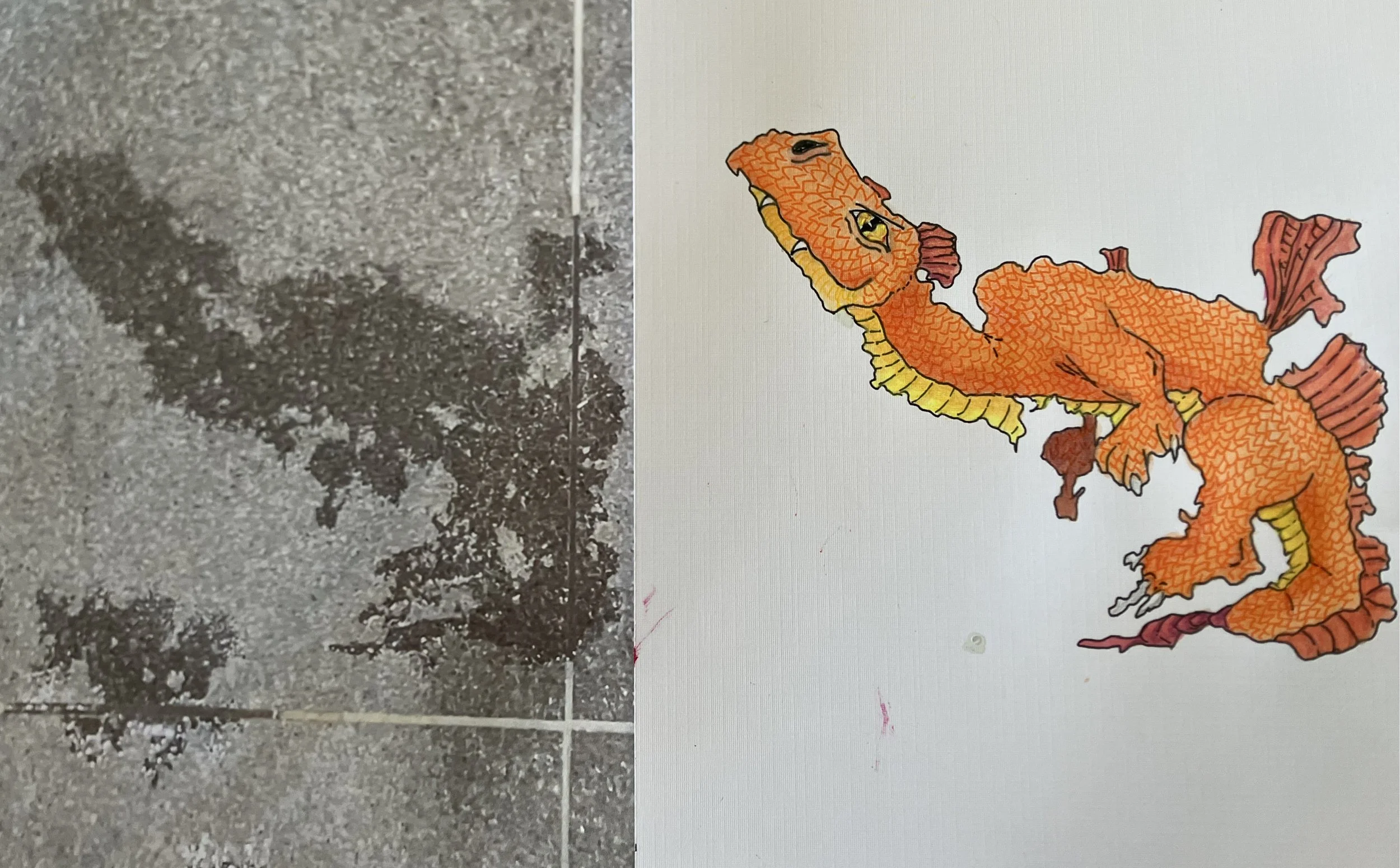 PV rex before and after.jpeg