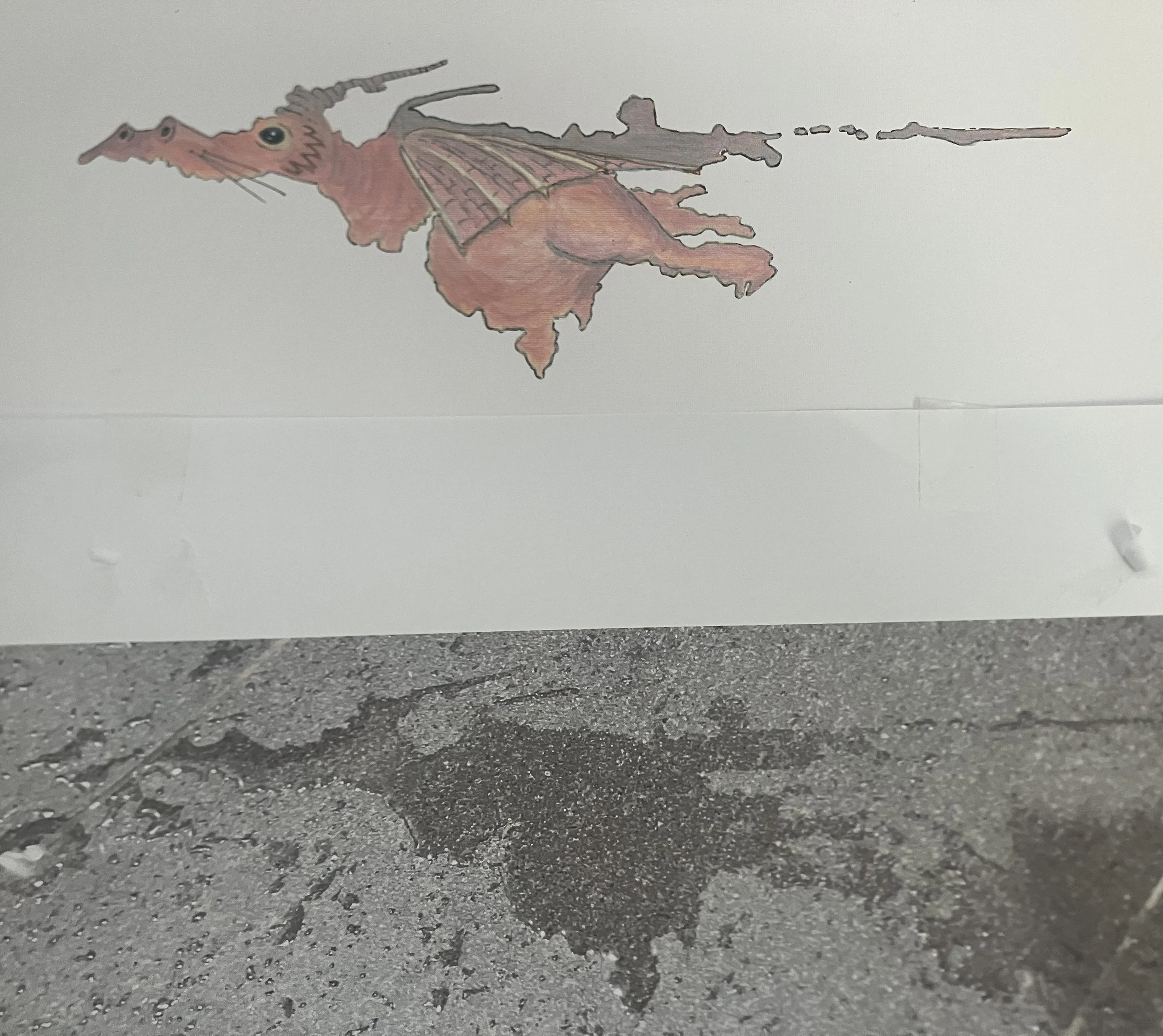 PV dragon before and after.jpeg