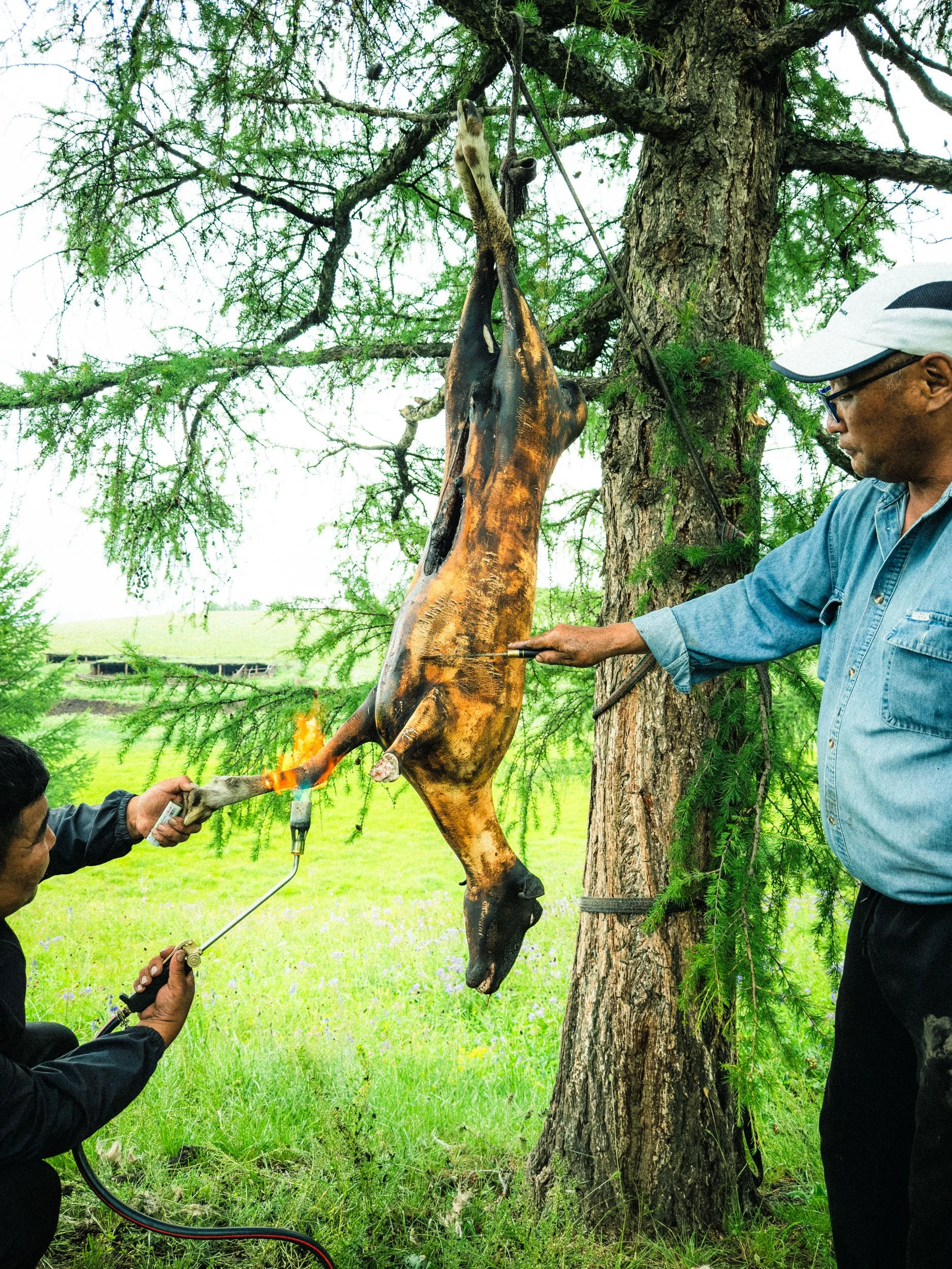 202607_Mongolian-Countryside-B-Side-4085.jpg