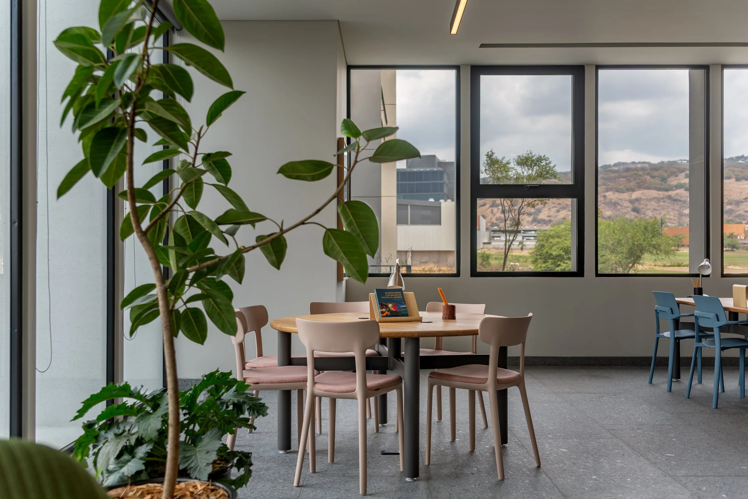 Interior de una oficina con mesas y sillas de colores claros y oscuros, plantas en la esquina y ventanas grandes que muestran un paisaje montañoso y árboles