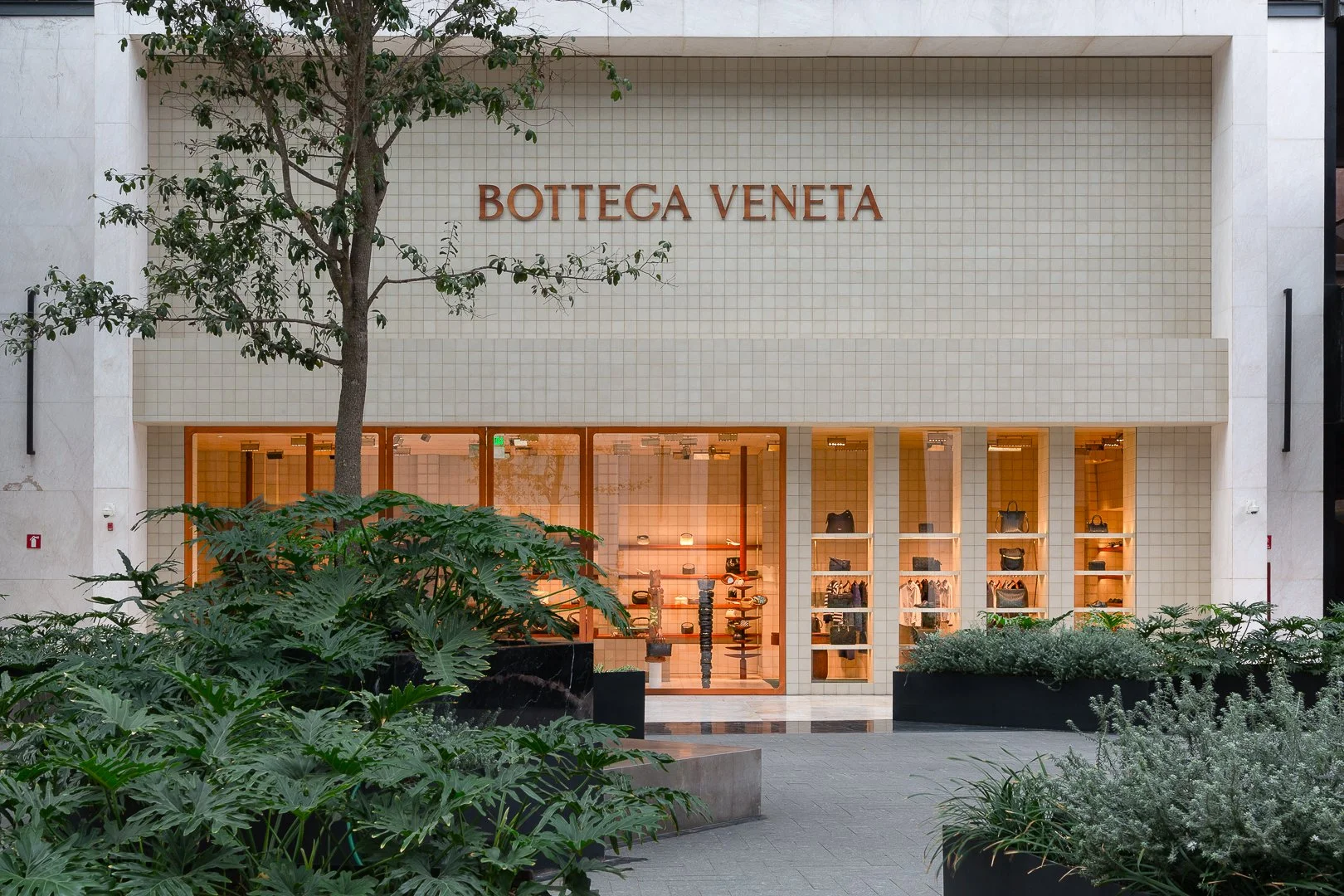 Vista exterior de la tienda Bottega Veneta con vitrinas que muestran accesorios y bolsos, rodeada de plantas verdes y un árbol, en un ambiente urbano.