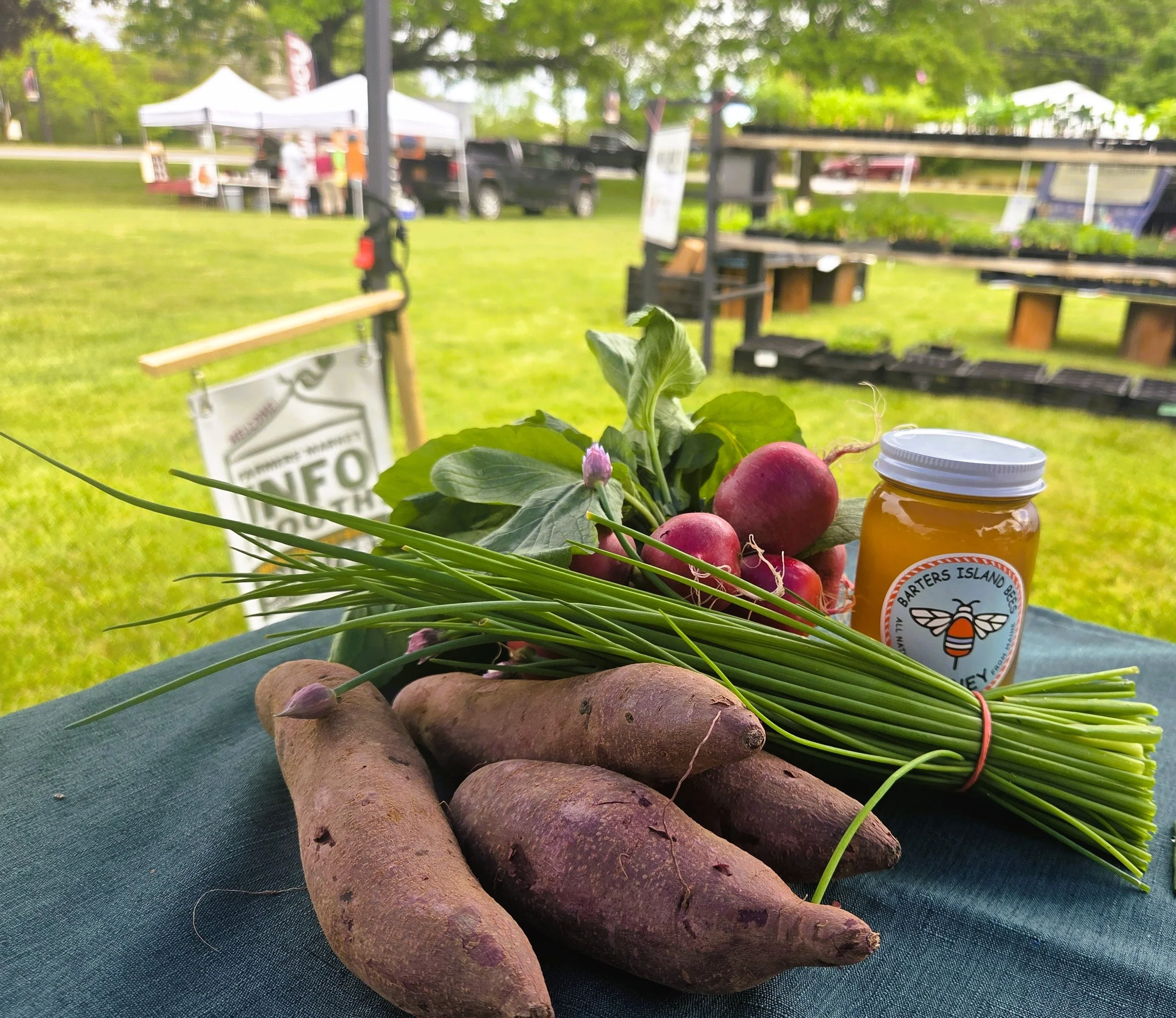 Maine Senior FarmShare Program Updates! 