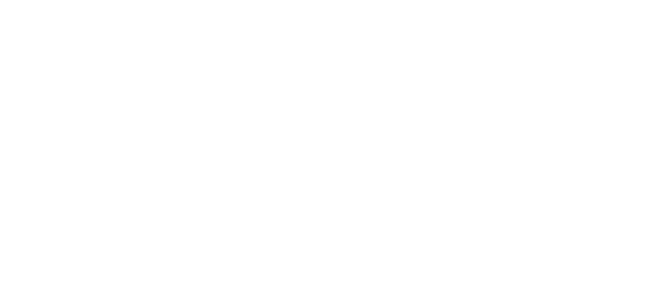viva vision studios
