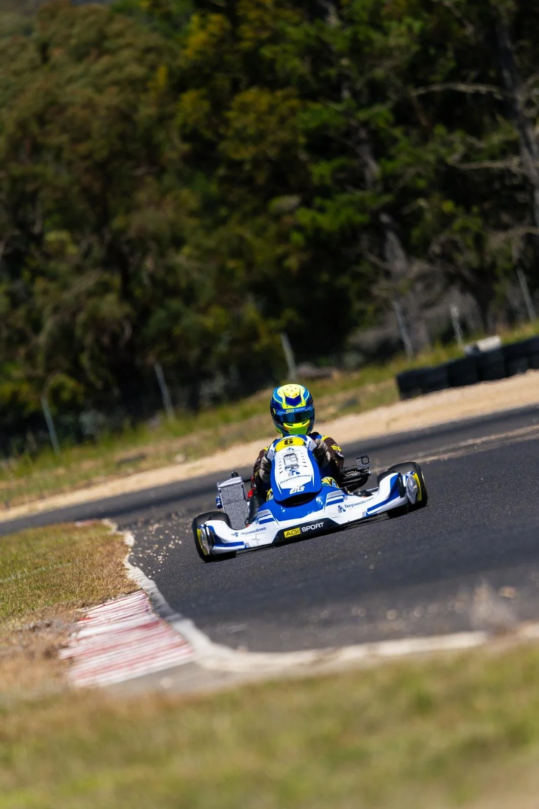 A go-kart with a driver in racing gear steering around a track curve, surrounded by trees.