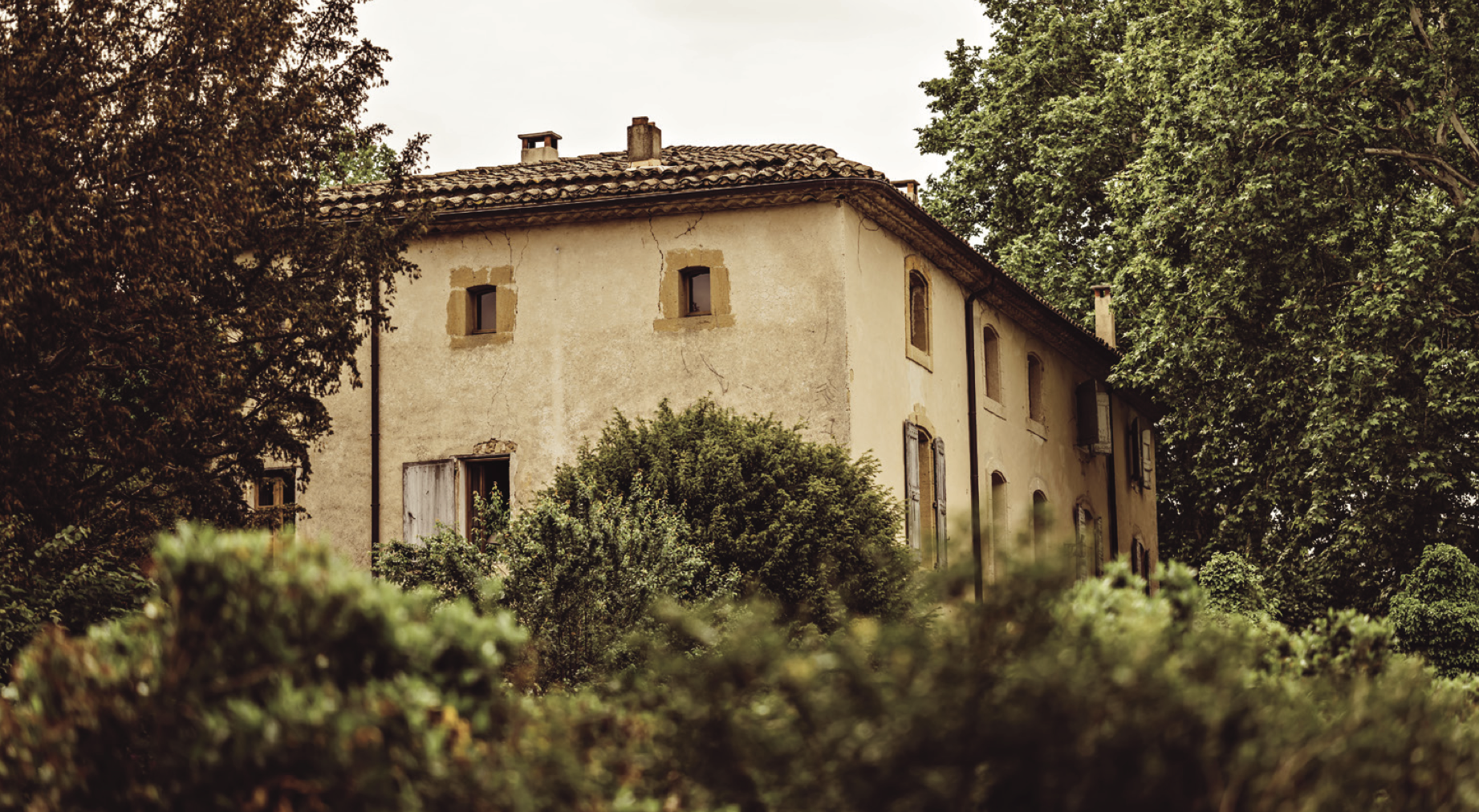 Old building surrounded by trees and bushes, rustic architecture, weathered facade.
