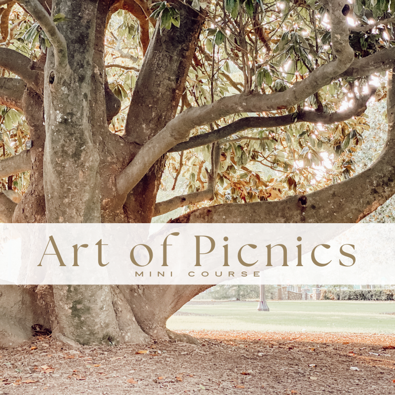 Art of Picnics