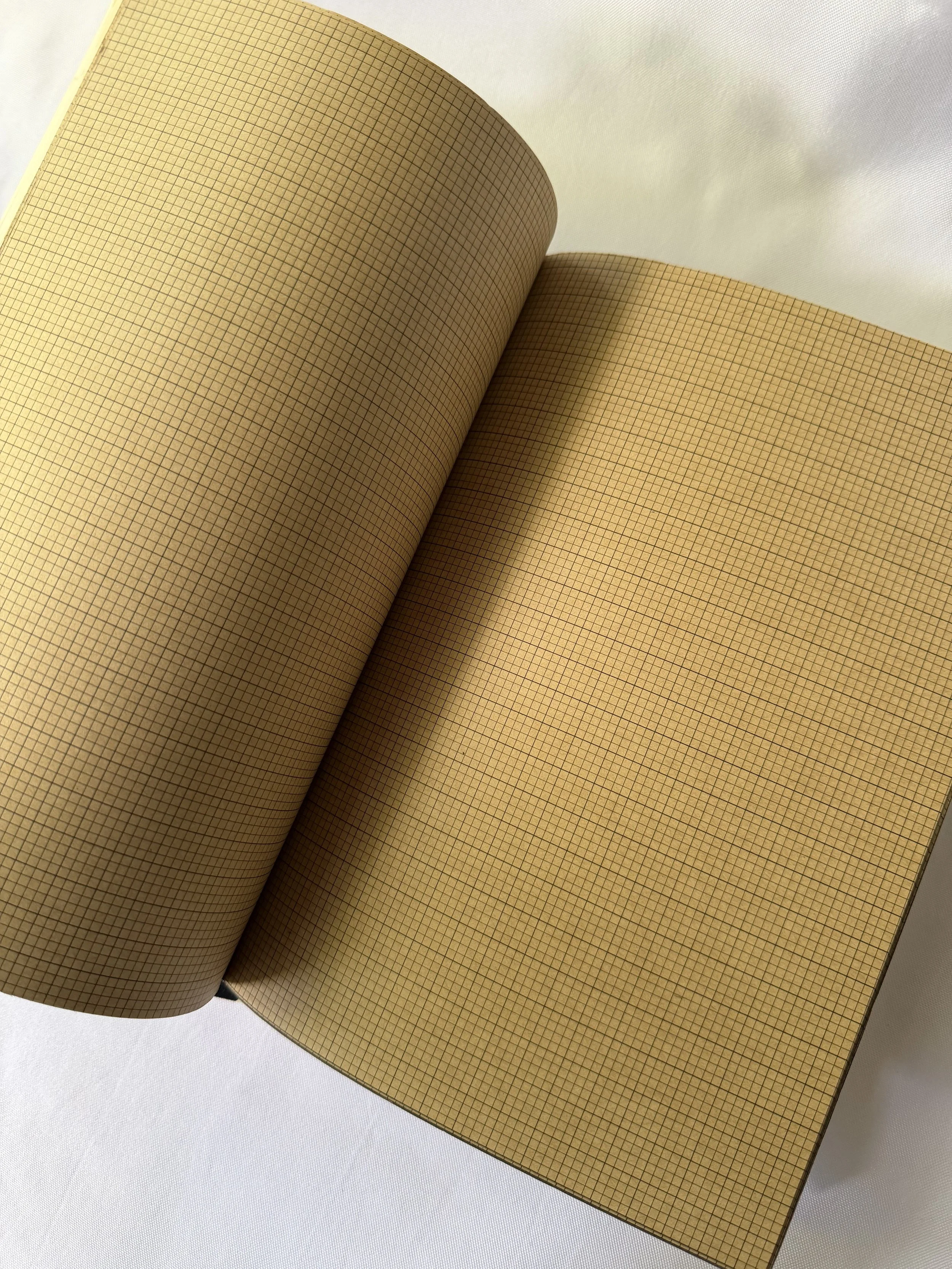 Grid pages of French Artist Notebook