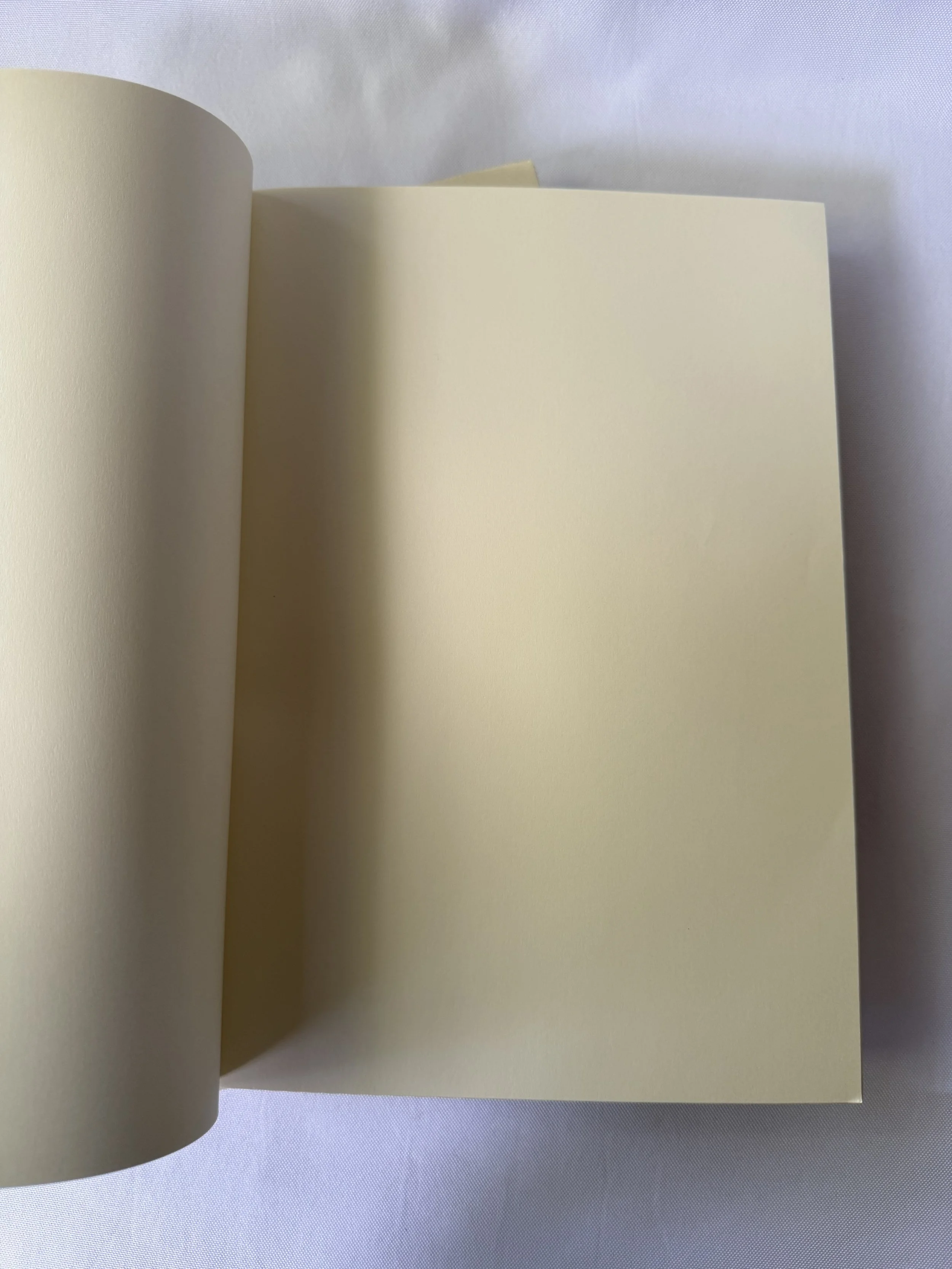 Pages of French Artist Notebook