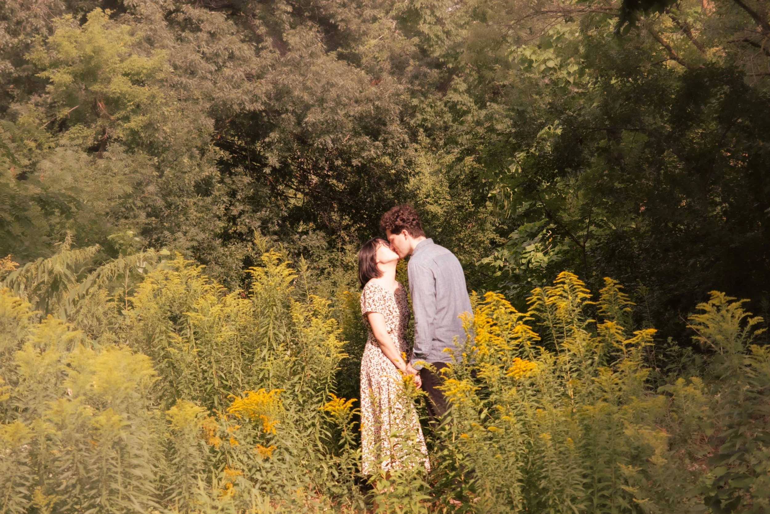 A couple sharing a kiss in a field of yellow flowers with green trees in the background.