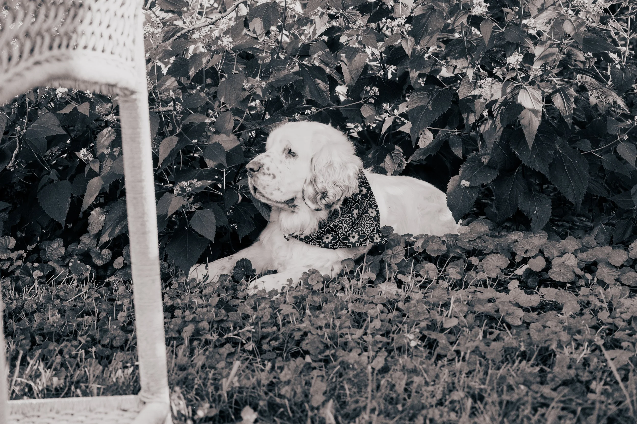 PAwebsite (3 of 16).jpg