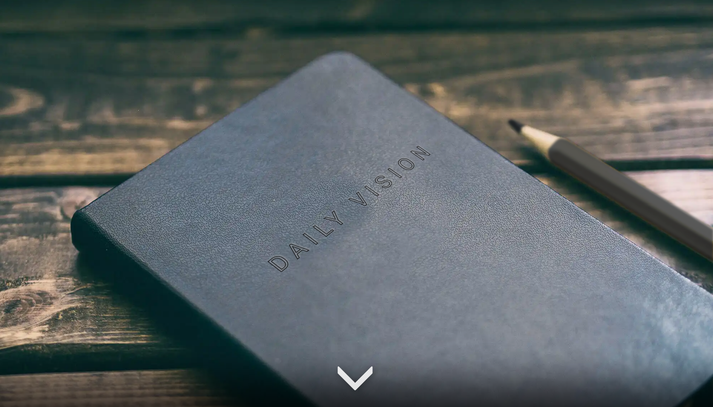DAILY VISION JOURNAL