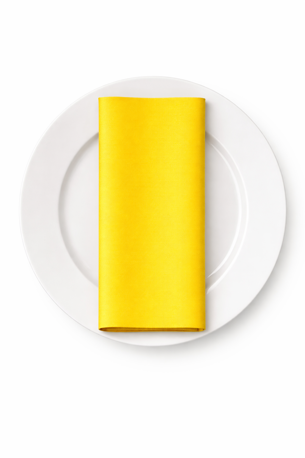 HOT CANARY YELLOW ON PLATE.png