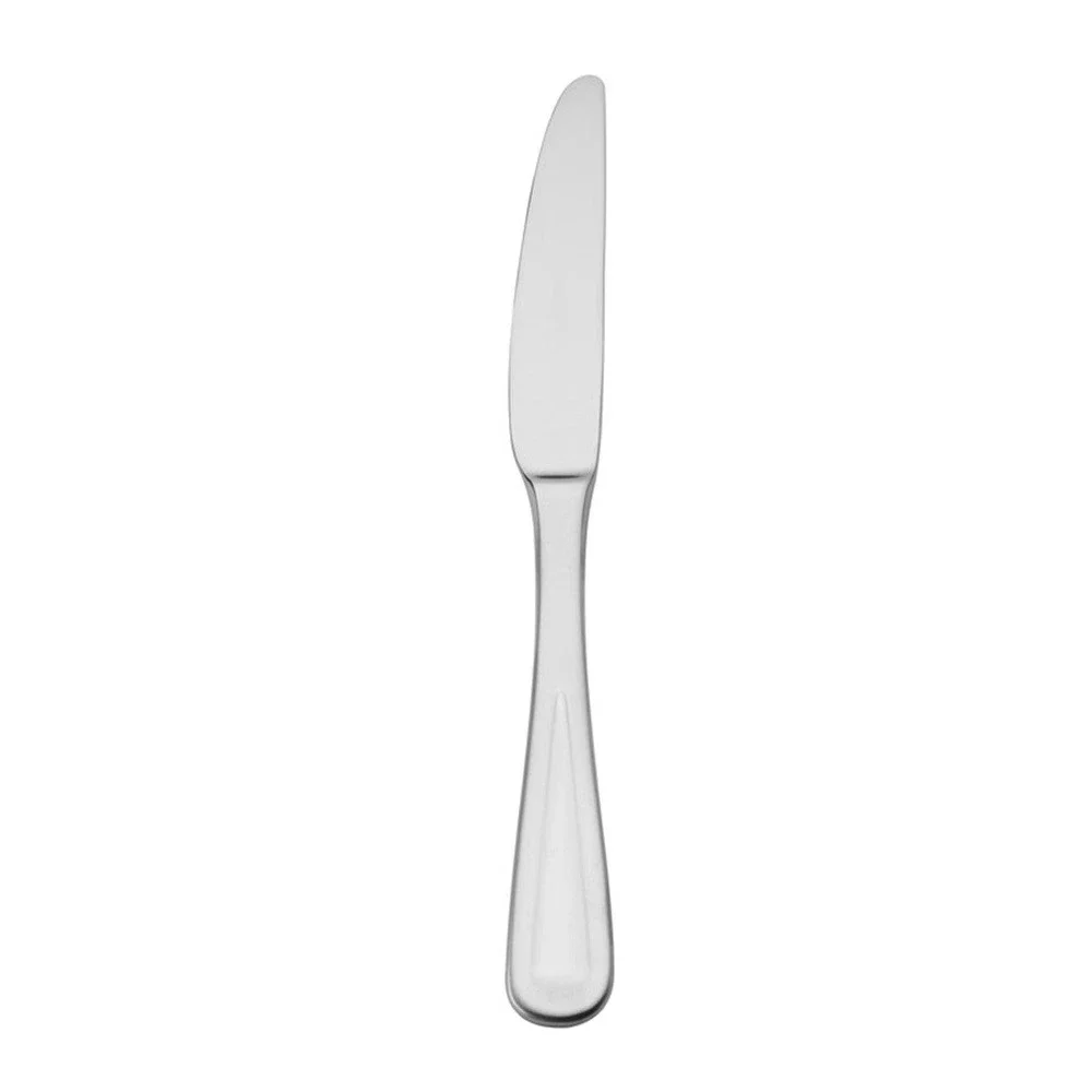 Mikasa Stainless Steel Dinner Knife