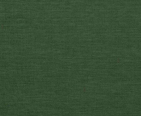 FORREST GREEN.png