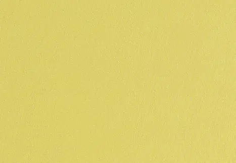 LEMON LIME.png