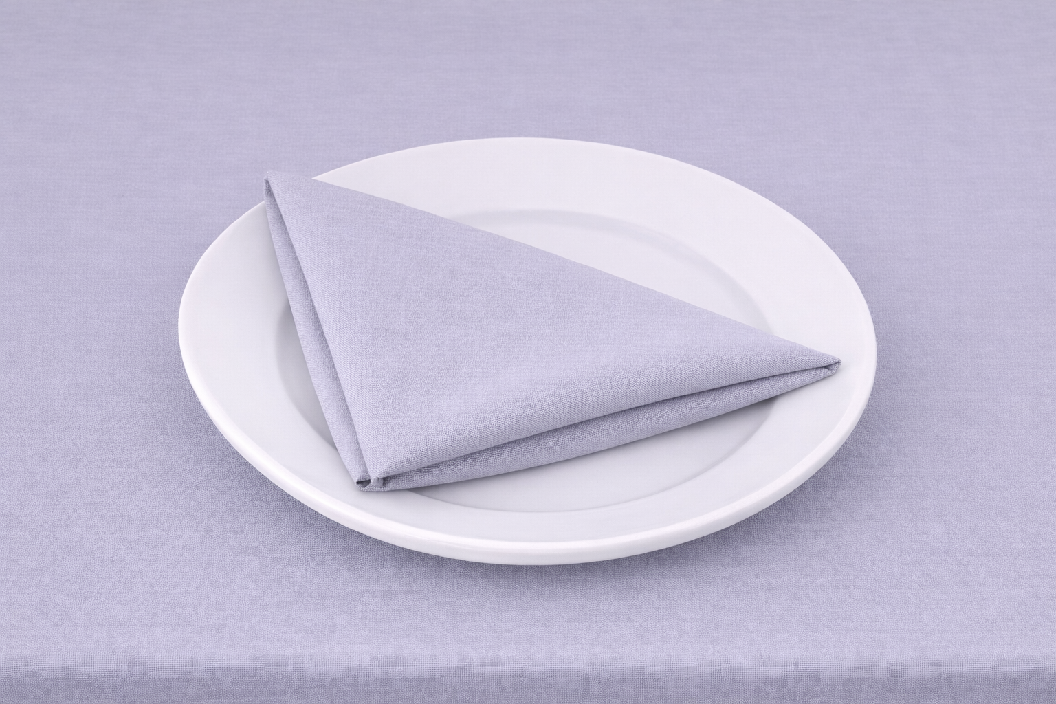 STEEL ON PLATE.png