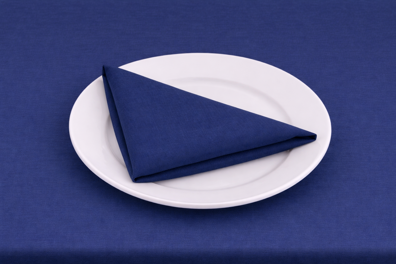 NAVY BLUE ON PLATE.png