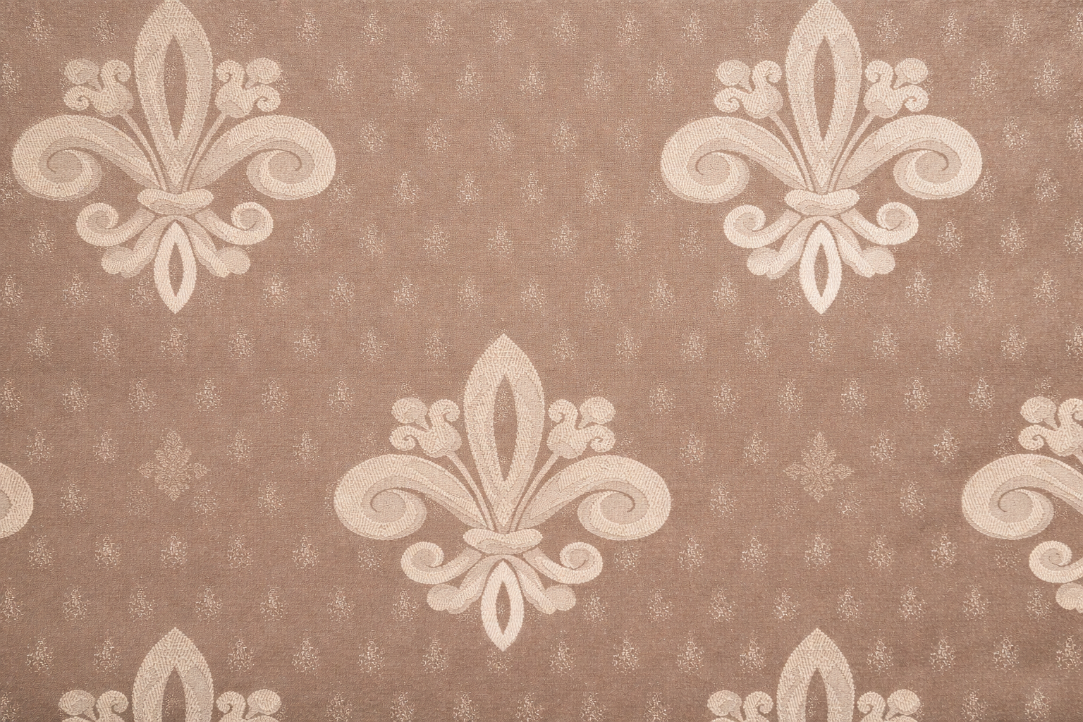 Mocha Fleur Royale