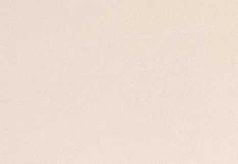 CHAMPAGNE.png