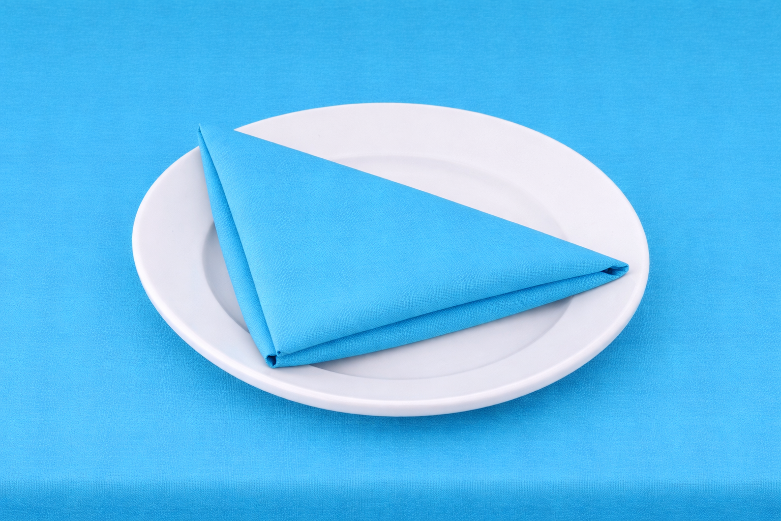 TEAL ON PLATE.png