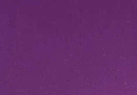 PLUM PURPLE.png