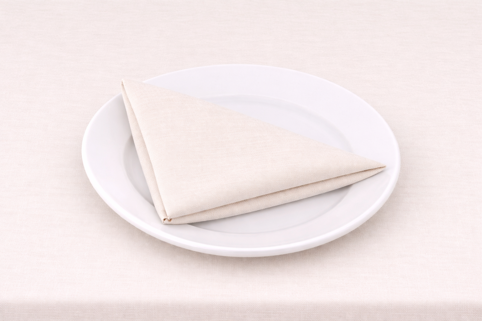 SANDY ON PLATE.png
