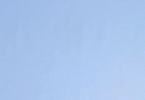 BIRDEYE BLUE POLYESTER.png