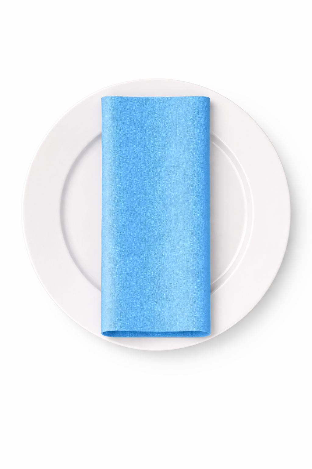 OCEAN BLUE ON PLATE.png