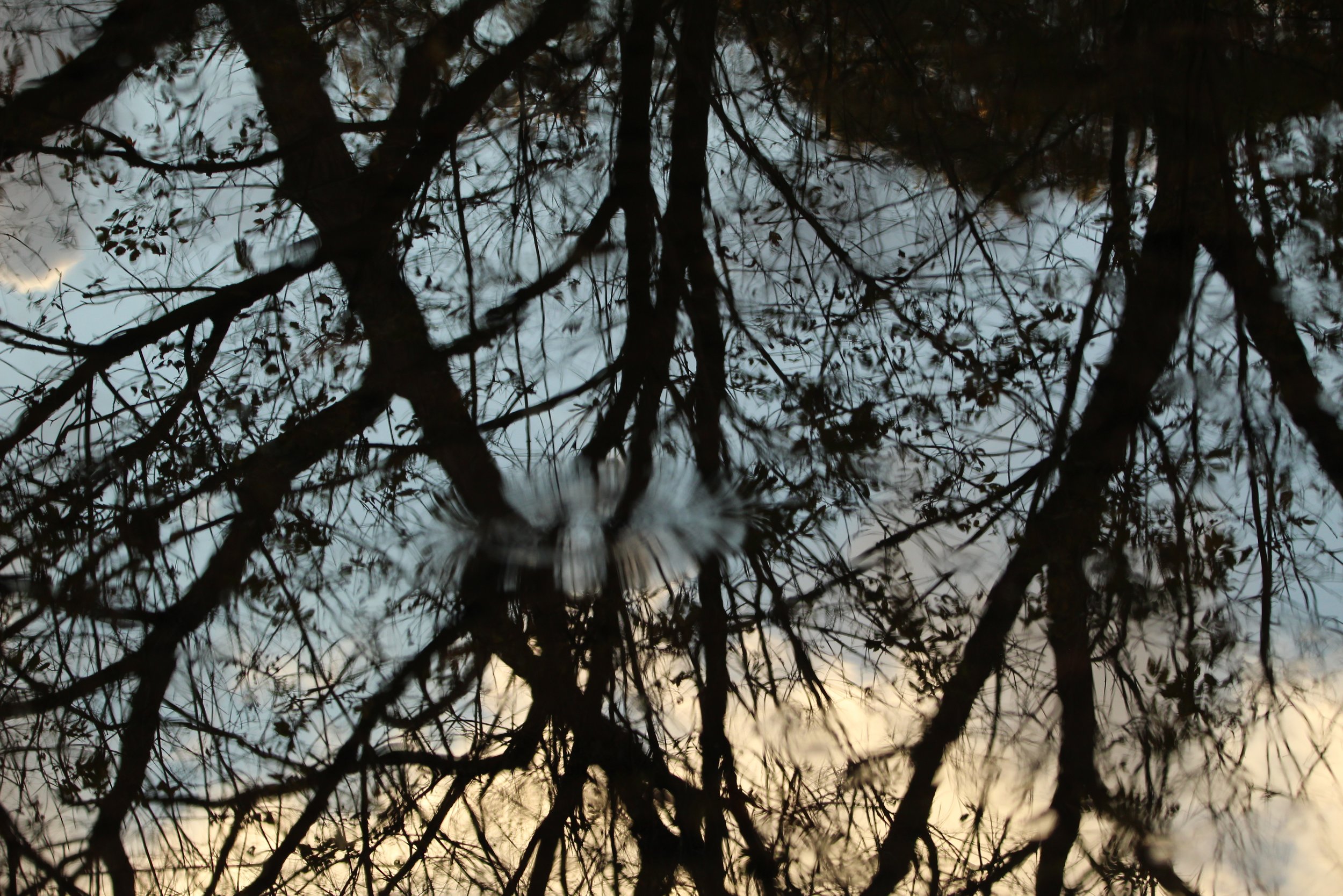 Monocacy Farm Project’s “Spring on the Farm”