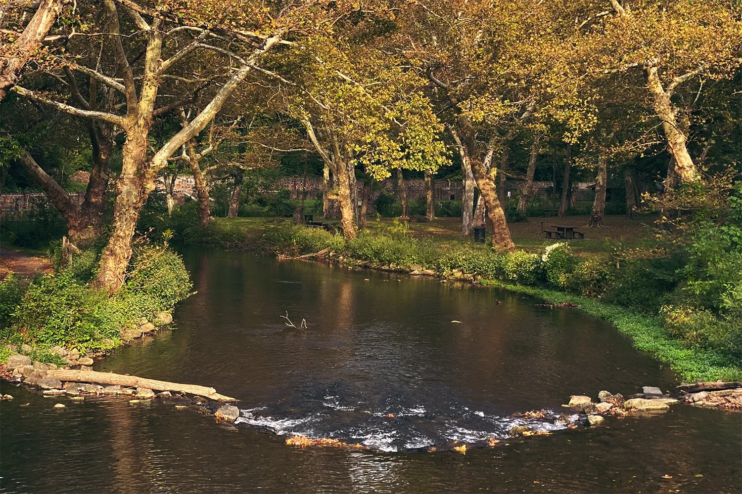 Creek Restoration &amp; Garden Cleanup at Illick’s Mill