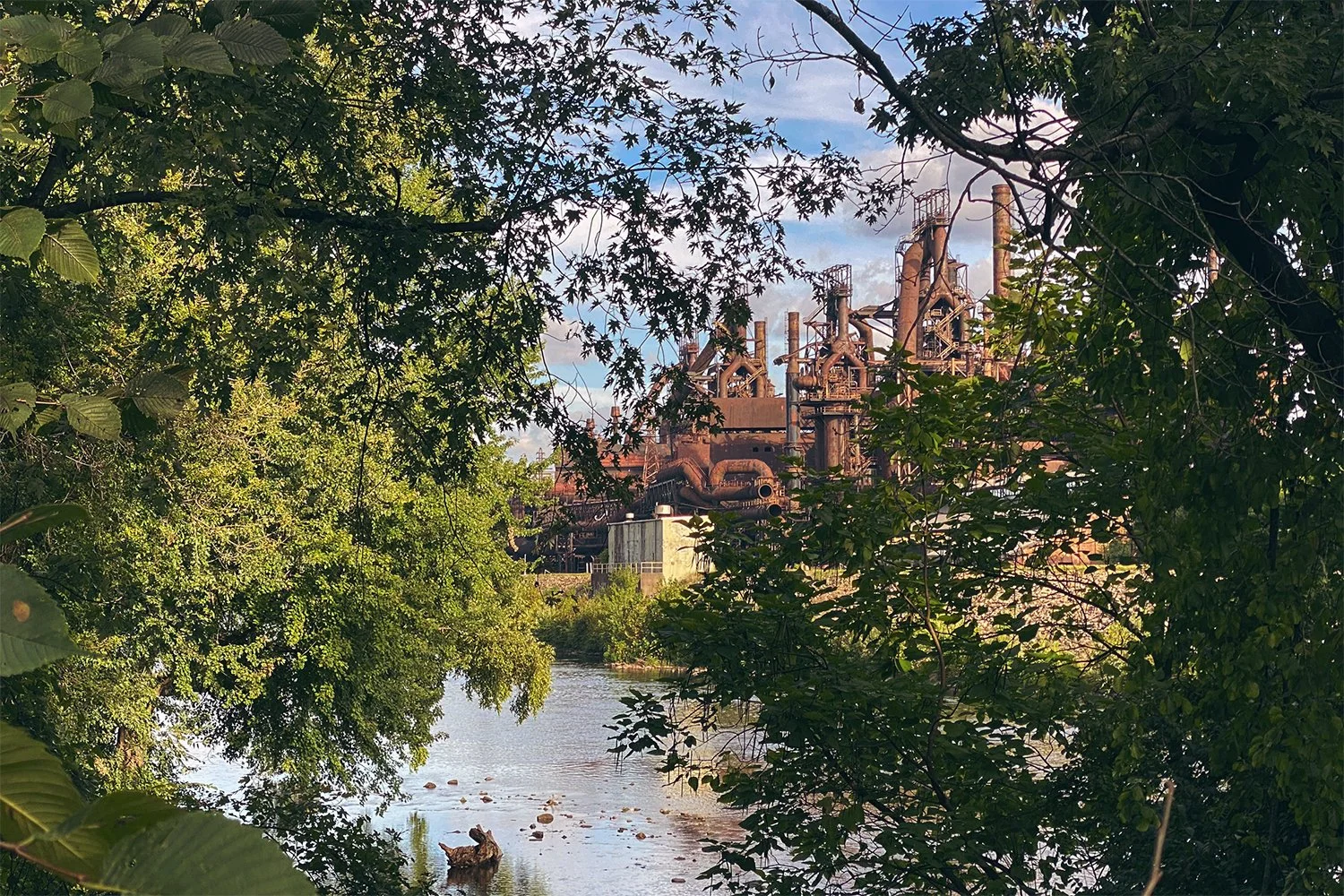 Fall Stream Cleanup at Sand Island