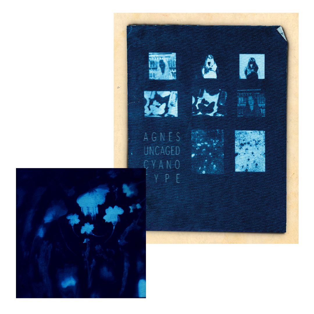 Special Preorder Deal : Vinyl, Poster