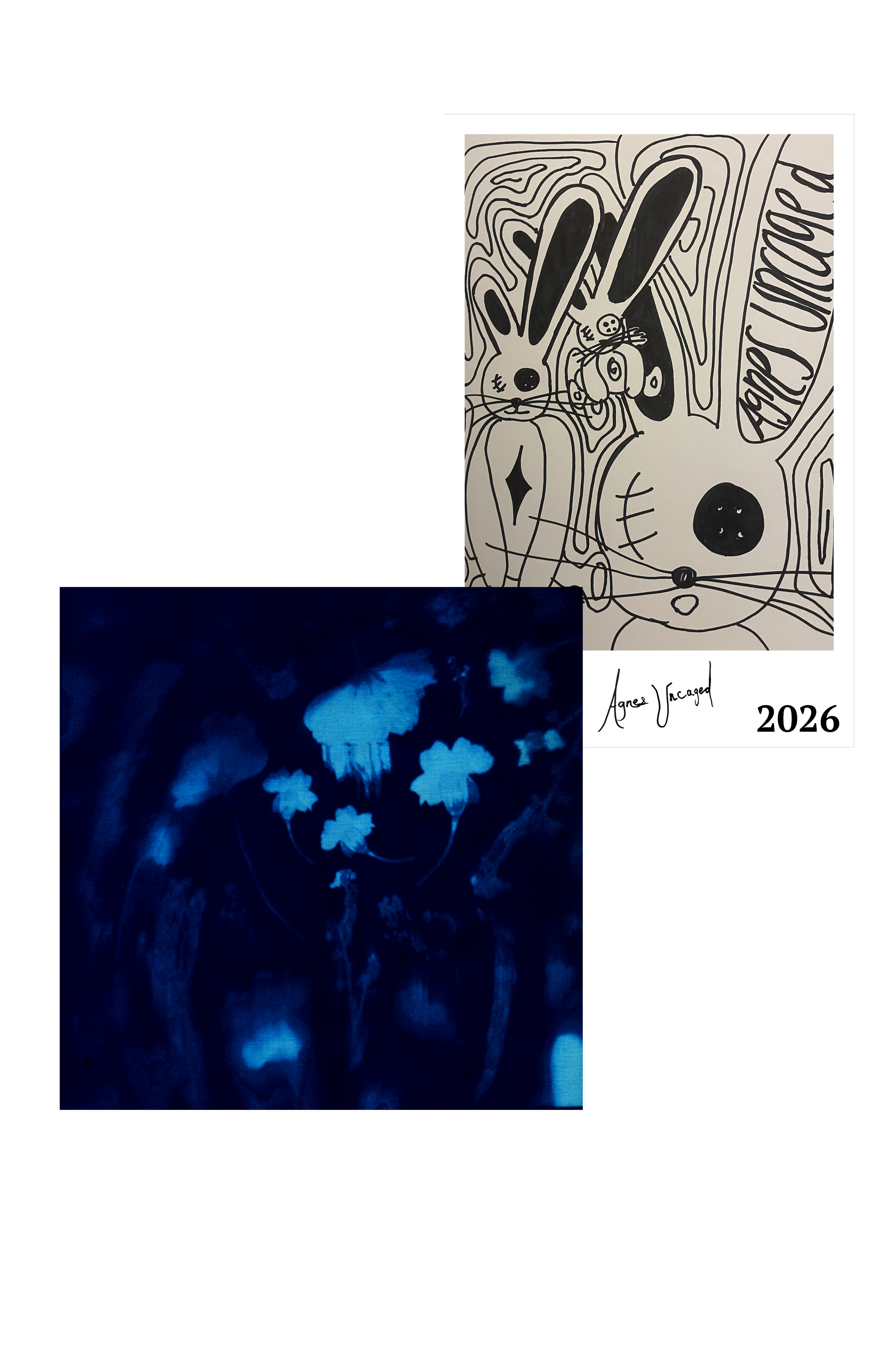 Untitled Project (16).png