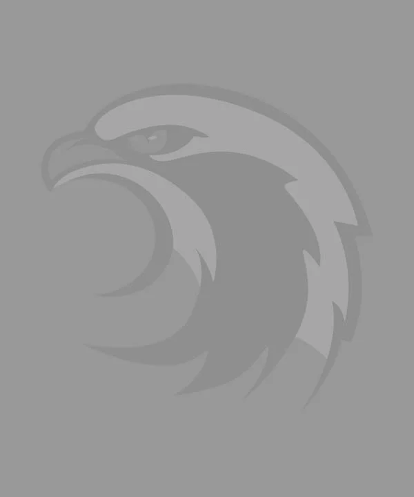A stylized eagle logo in shades of gray.