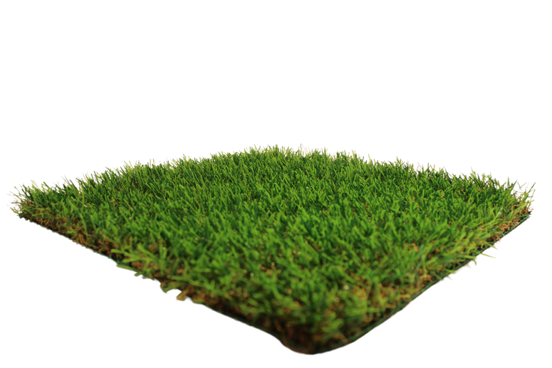 eco magic.png