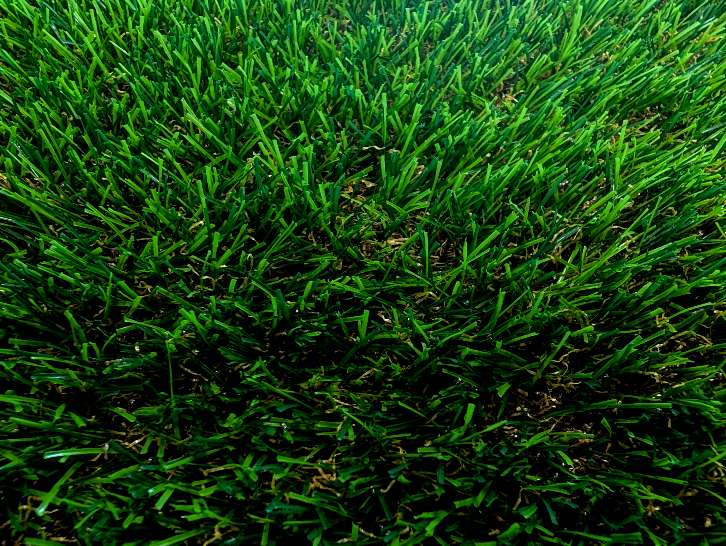 Eco Magic close up.png