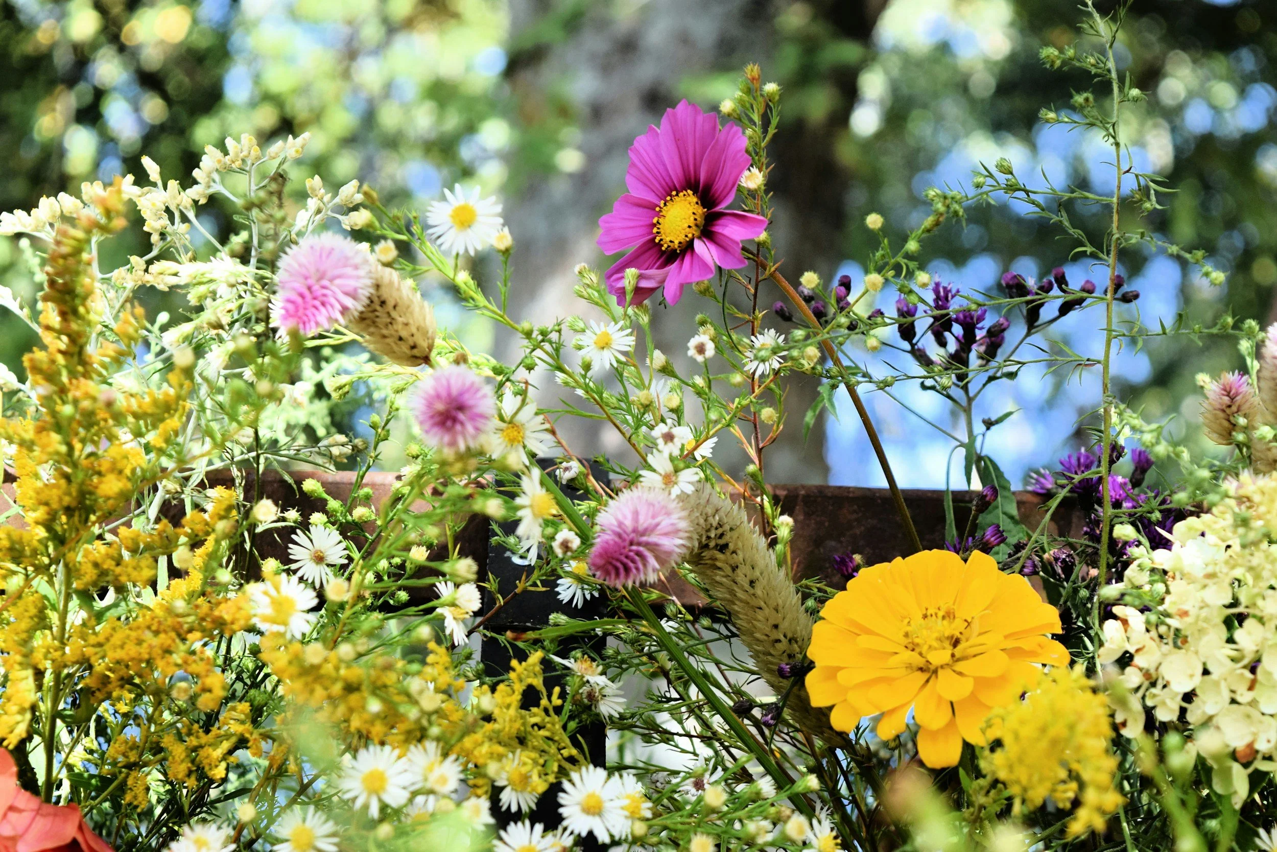 A colorful assortment of various wildflowers including pink, yellow, white, and purple blossoms.