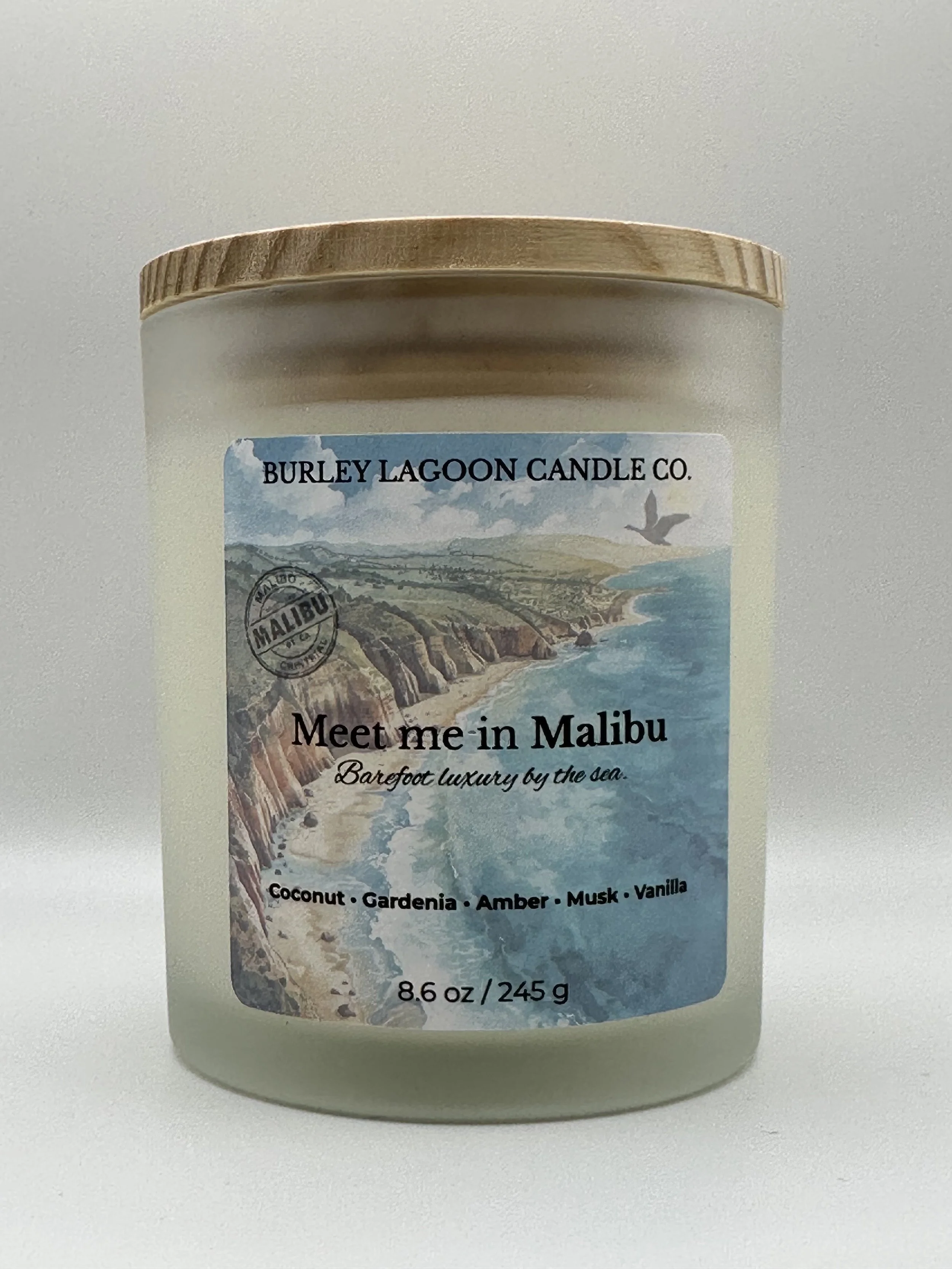 Malibu with lid.jpeg