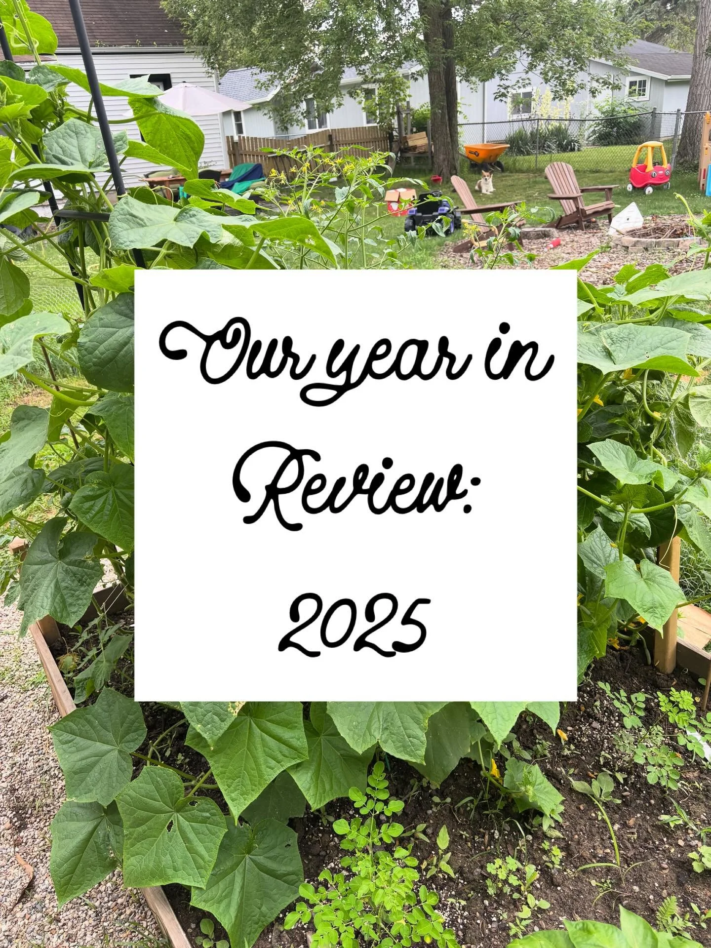 Too many pics to accurately sum up this year but here are a few!! Thanks for being a part of it ☀️ we&rsquo;re so thankful for this year and are looking forward to 2026!