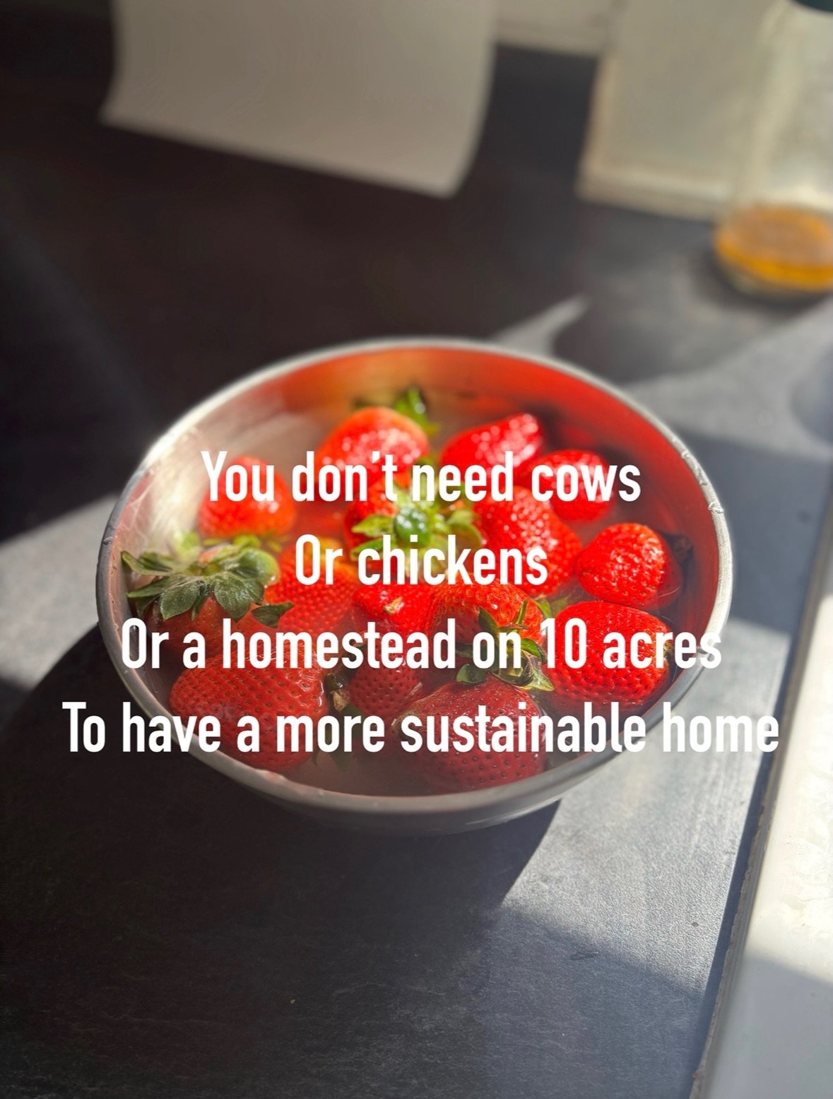 When we first started wanting to have a more resourceful home, we lived in Mexico in a duplex with no yard. And we learned a lot! Start where you are! Use what you have. And grow if you can. It might just be one new thing at a time, but maybe you&rsq