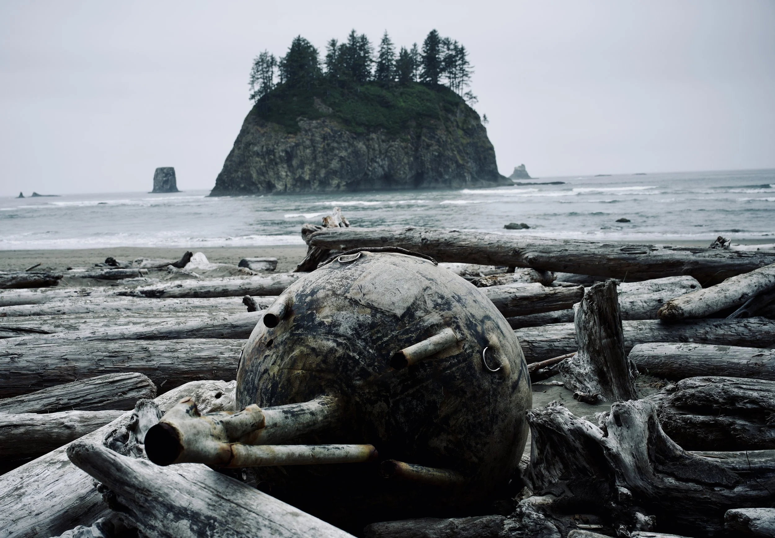 Second Beach, Washington, USA - Available for purchase!