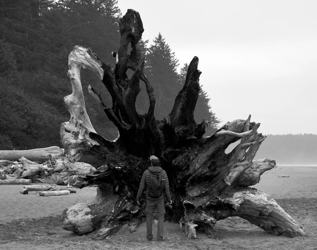 Second Beach, Washington, USA