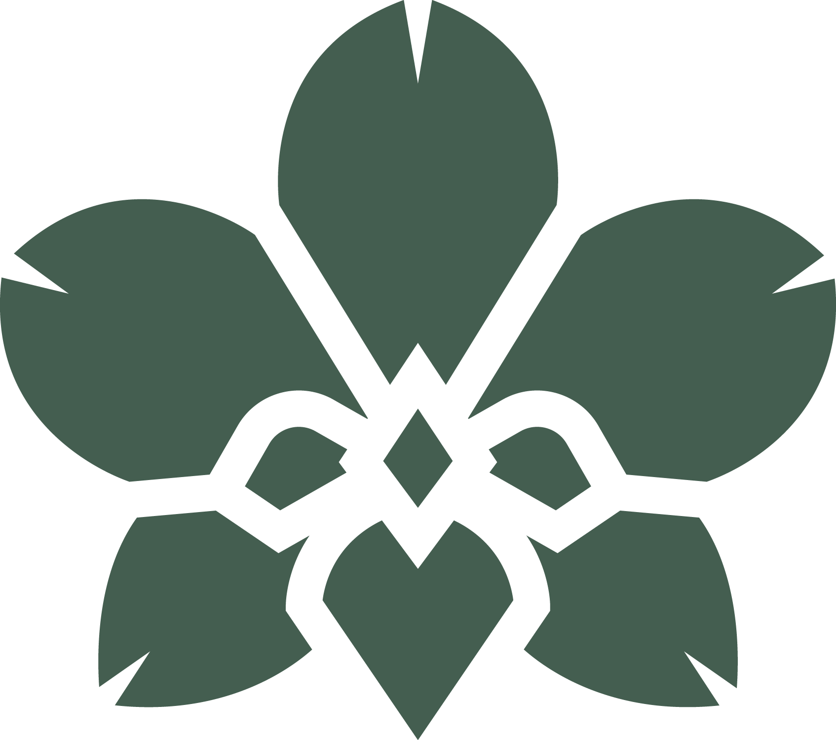 A stylized graphic of a cannabis leaf with five symmetrical leaflets outlined in black.
