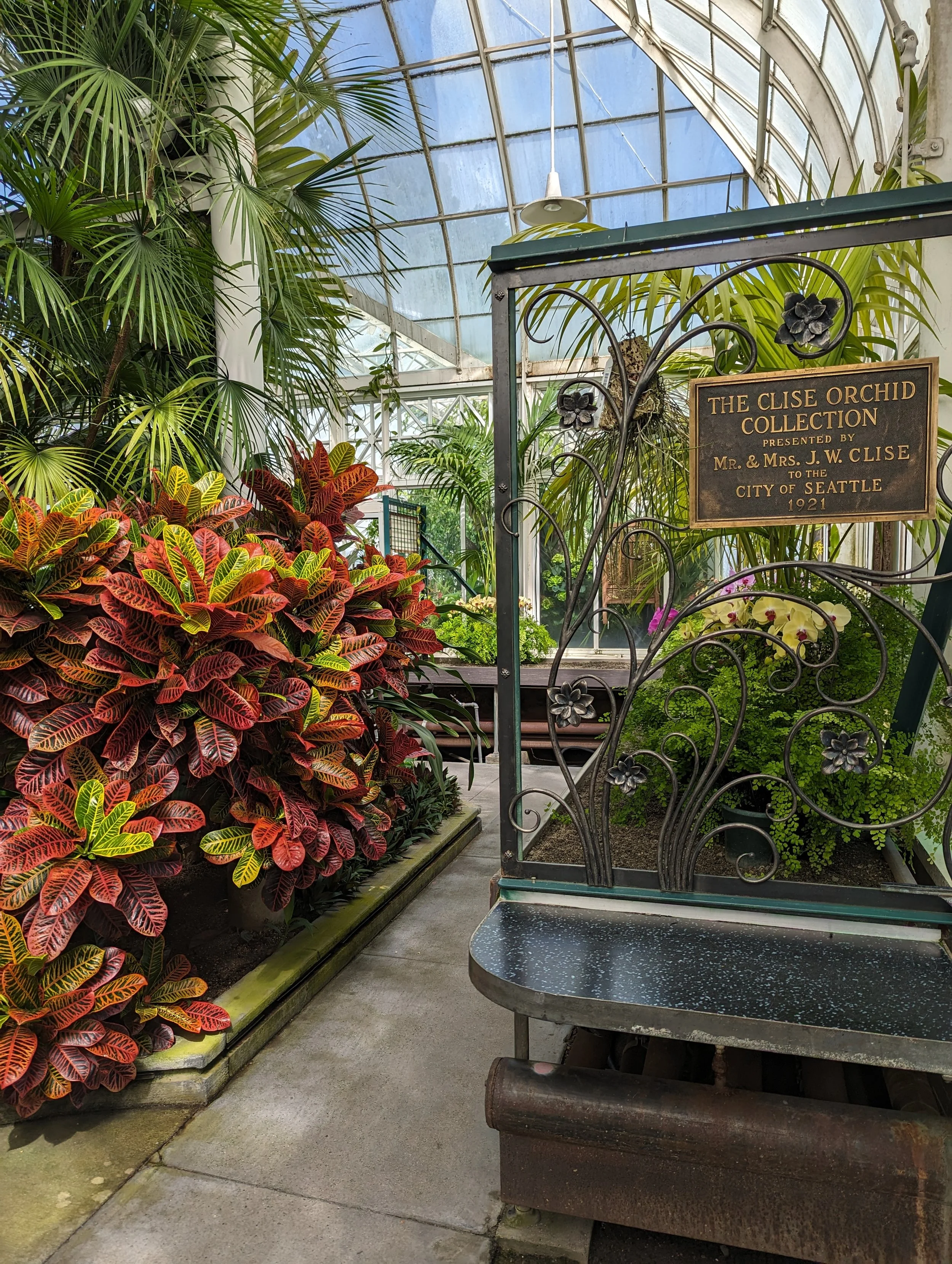 photo of Palm House path by the Clise Orchid Collection by Kathy Buchanan