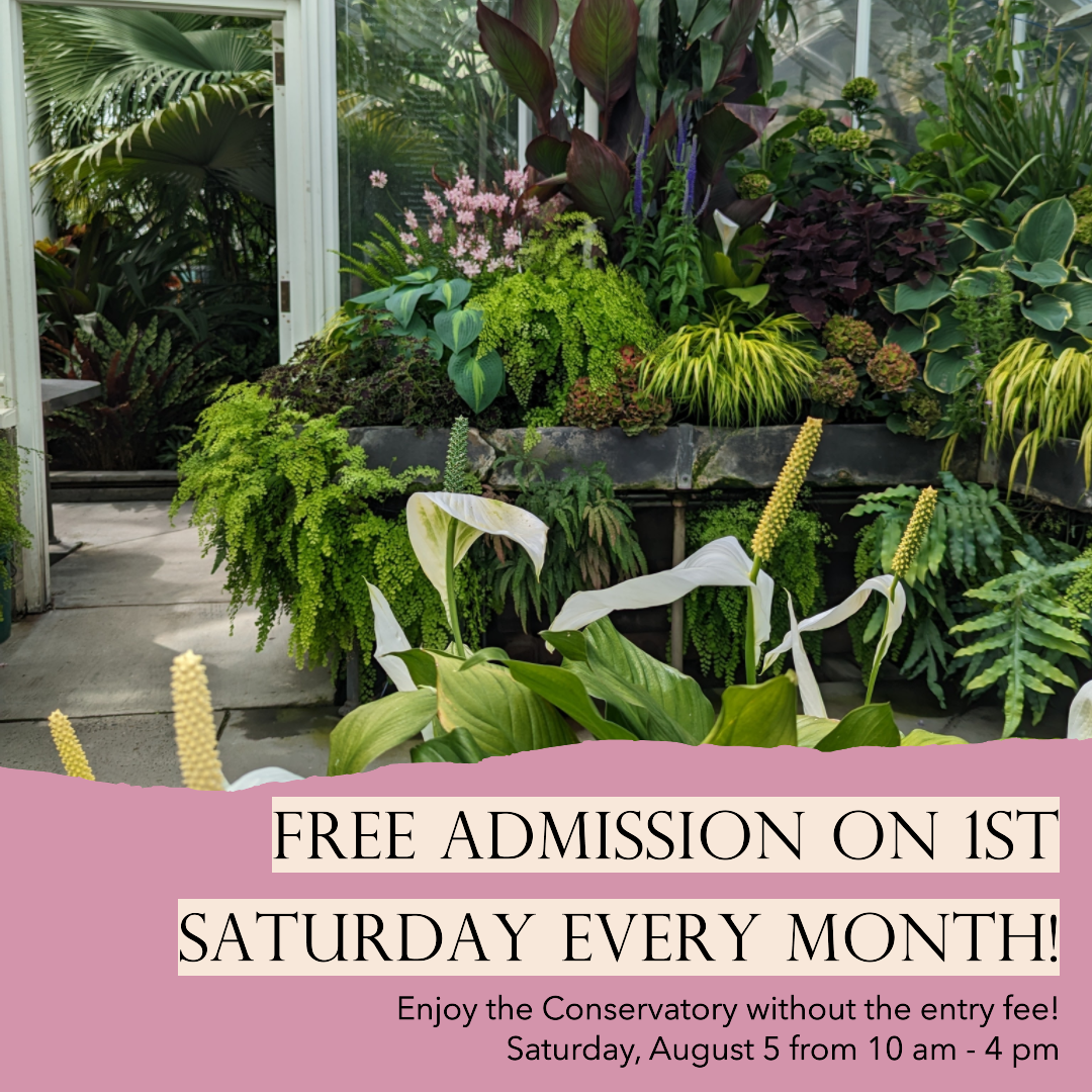 Free Conservatory Admission