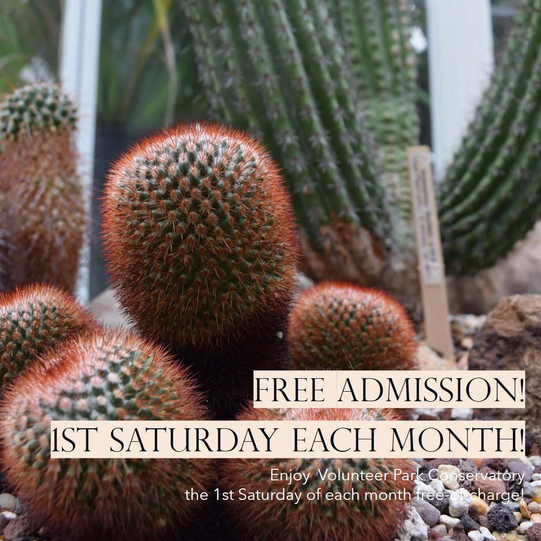 Free Conservatory Admission - 1st Saturday Monthly